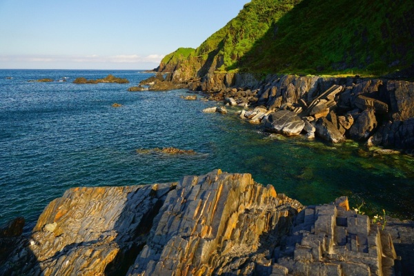 緊鄰海岸前線的嚴苛條件，成就疏花佛甲草的最後生育地。