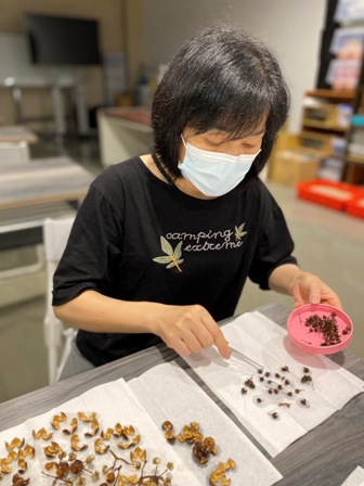 在疫情閉館期間協助文物的清潔與整理。