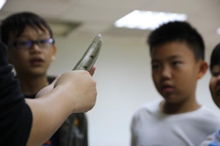 新石器時代丸山遺址出土的捲瓣形石刀，有什麼用途呢？