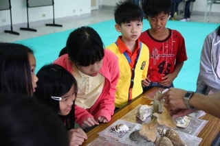 由出土獸骨的牙齒，可以知道牠的食性，並判斷牠是哪一種動物。