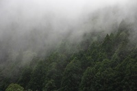 棲蘭山研習活動記錄