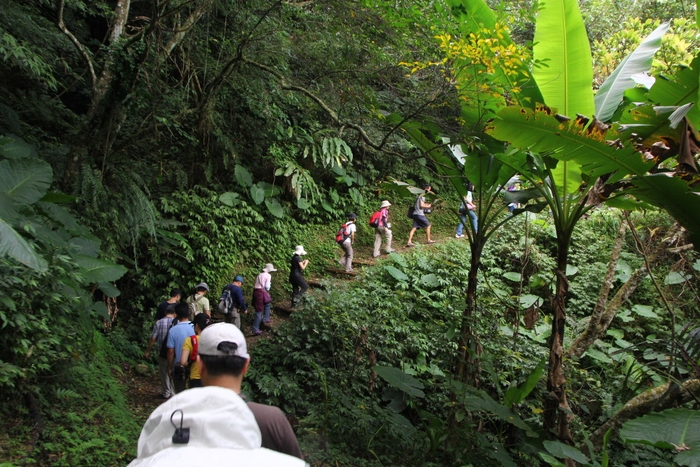 樂水部落的解說員帶領學員走進部落的山林中