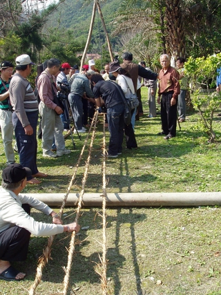 附近居民參噢，紛紛下場體驗