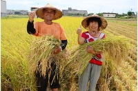 宜蘭四季：蘭陽四季樂章。蘭陽四季
