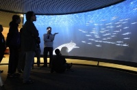 蘭陽博物館突破困境新嘗試：海洋劇場～3D動畫全新登場