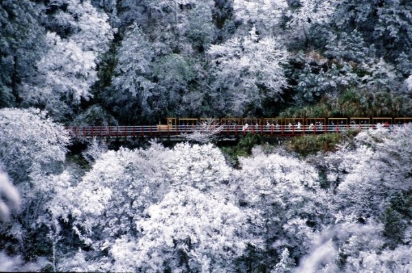 冬雪