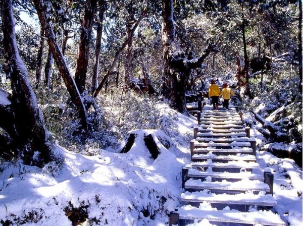 太平山雪景