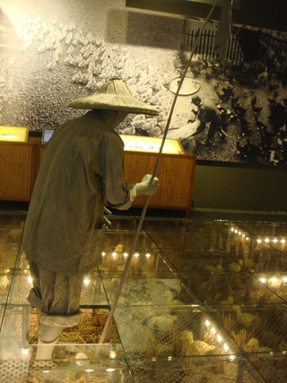 放養在稻田的鴨子可以啄食害蟲，排泄物又能當肥料補充稻米的氮、磷、鉀等微量元素