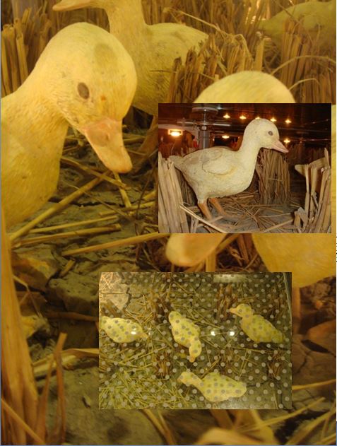 不同神態的蘭博小鴨