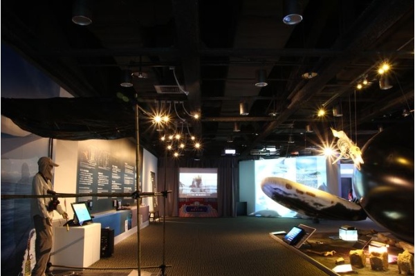 「海中鯨靈－鯨豚保育之路」展覽日期為2013年6月7日~11月5日（每週三休館，逢國定假日照常開放）