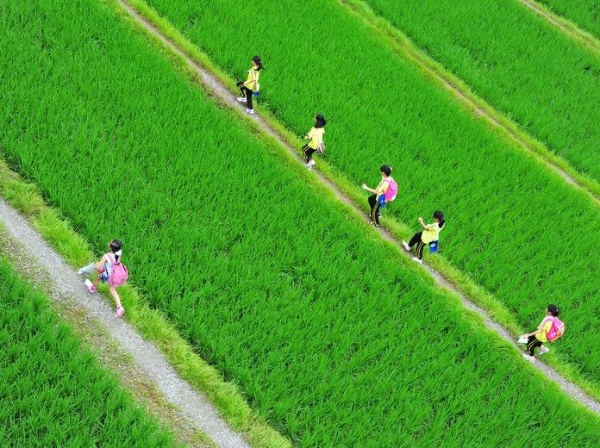 初春～遊樂田園間