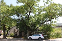 海與岸的交界正是家─無尾港環境學習中心