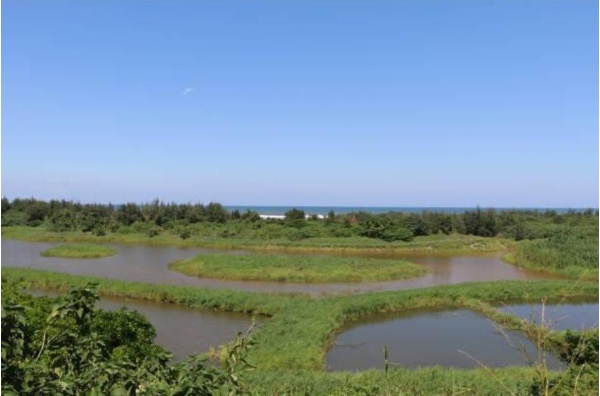 圖6：淡水為主的無尾港水鳥保護區感潮型溼地,2020年攝。