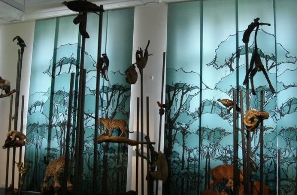 熱帶雨林生態系的寫意展示