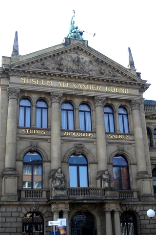 亞歷山大．庫尼胥動物學博物館外觀
