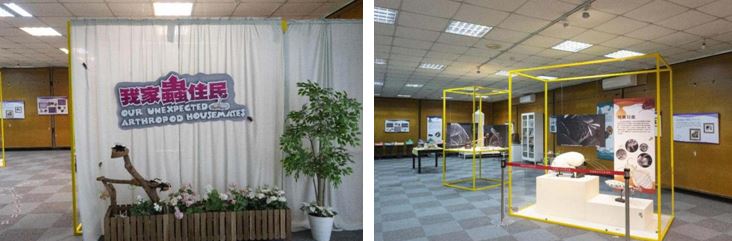 左：一樓我家蟲住民特展入口 / 右：一樓特展──我家蟲住民