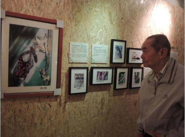 廖有麟老師到訪2016特展「夢幻蝶影」／2016年攝／宜蘭縣自然史教育館提供