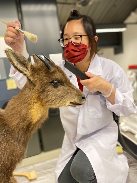 仔細檢視有沒有遺落的灰塵，再加以清潔。