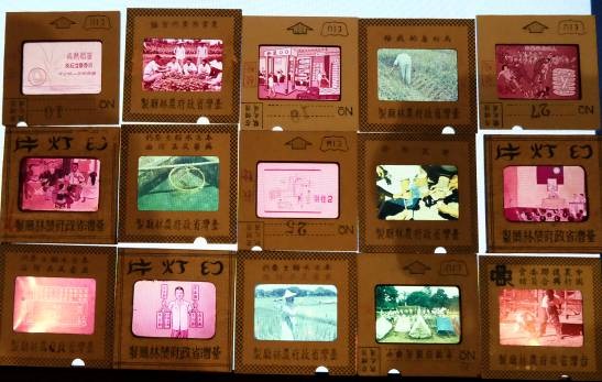 年代農復會農業推廣教育幻燈片。原外盒已遺失，計有各式內容幻燈片382片，內容舉凡農業推廣的方法、水稻主要蟲害防治、野鼠防治、四健會推廣、公民常識、馬鈴薯的推廣。由中國農村復興聯合委員會與臺灣省農林廳合作，為了當時農業推廣製作幻燈片由各農會進行宣講。日治時期農會即有農事小組於農事推廣，是日治時期農業推廣制度中的一項。因街庄、州縣及省農會之制度，無法深入偏僻的小鄉村，亦即無法滿足此等地區居民與個別農民之需要。為擴展農會之活動，將農民編成農事小組，而以村里及鄰近地區為其工作範圍。由農民中選舉農事小組組長。任何消息之傳遞，均經由小組組長轉達農民。農業技術人員欲對農民傳授某種工作方法時，亦由農事小組召集農民集合聽講。故農事小組之主要用途，為傳達命令與教育農民。在日本時代，日人所採用者乃以命令方式，使農民參加農事小組之各項集會。1945年後，農會仍沿襲此種與農民及其家庭接觸之方法。