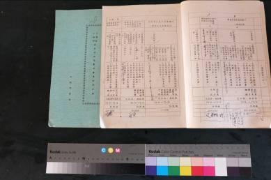 1982-1983年鎮安村加強農村發展細部計畫。 推動機械化栽培、改善排水設施、廢除不必要田埂、水稻共同作業、輔導核心農會推行共同經營及委託經營，美化公共環境、家庭計畫追蹤、農村衛生訓練、家政活動歸廣、四健會農村青年吸收、吾愛吾村推行等。