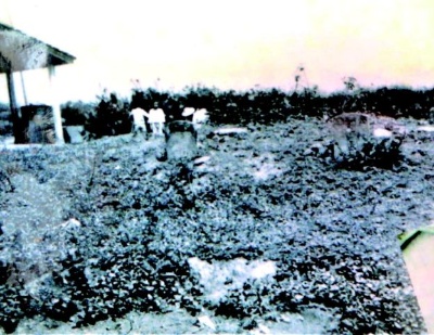 校地原為浮洲庄頭的墓塚地。（李春榮提供）