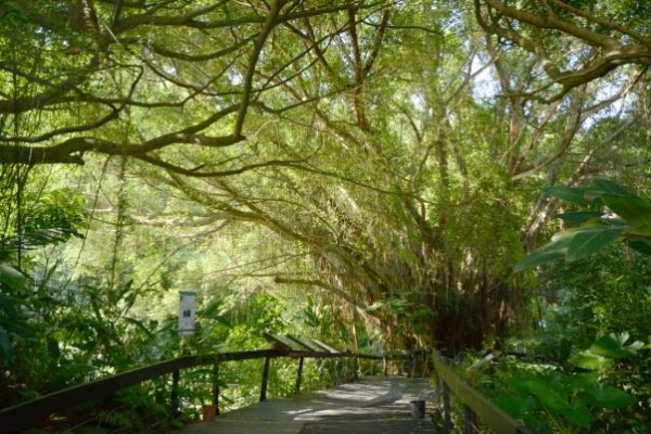 圖2：芝山文化生態綠園入口處