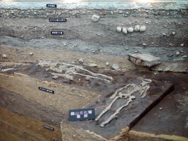 圖3：圓山文化層墓葬現場