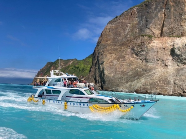 一起去賞鯨吧！