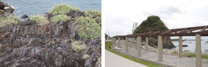 左：豆腐岬北側板岩與千枚岩岩層,2020年攝。 / 右：豆腐岬沿海岸步道,2020年攝。