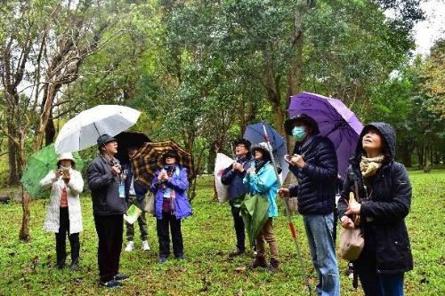 大家在雨中認識染料植物。