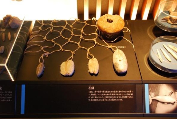 圖3：博物館展品—石錘