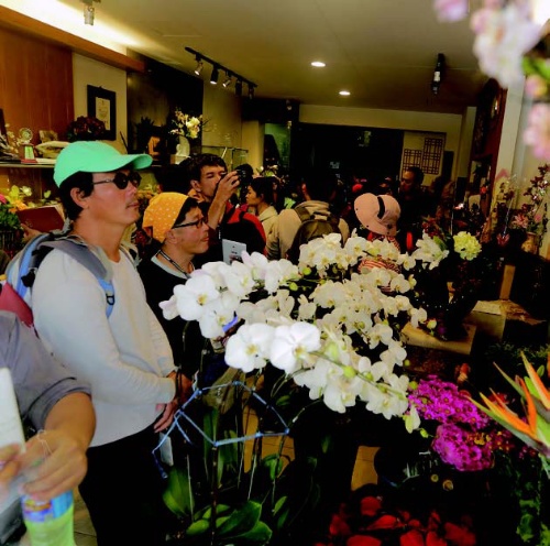 花玉號現場的蓪草藝術花卉栩栩如生，蓪草花跟糊紙一樣，需要的技巧很多。