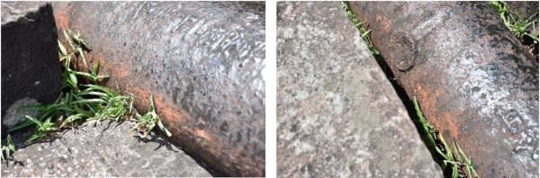 左圖：砲身與砲座處有植物生長，砲口下方有明顯的鏽蝕 / 右圖：砲耳缺失殘留根部。