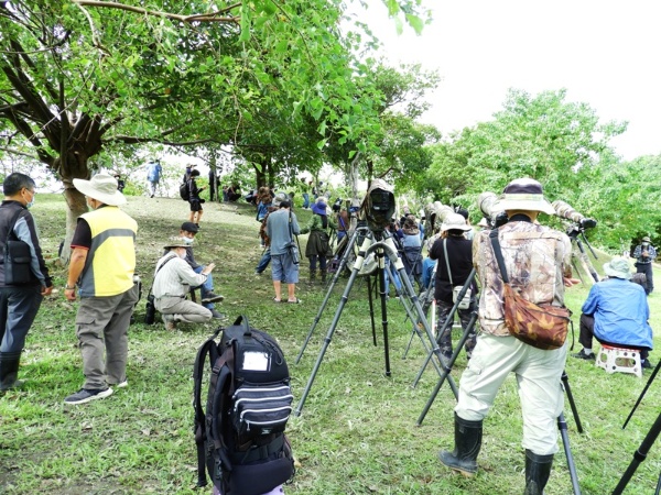 拍攝的鳥友使用如同望遠鏡倍數的鏡頭，多半在蘭博蹲點一整天只為了捕捉小綠鳩的身影。