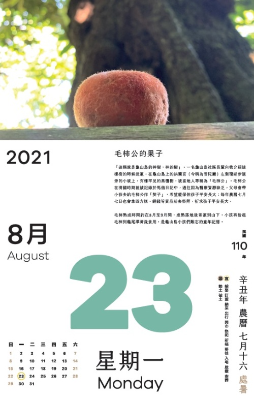 在龜山島上的拱蘭宮左側環湖步道旁的小坡上，有棵罕見的黑檀樹，被當地人尊稱為「毛柿公」。