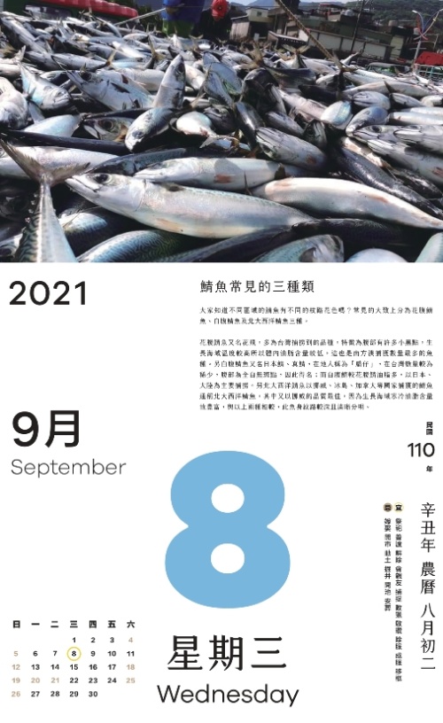 鯖魚常見的三種類