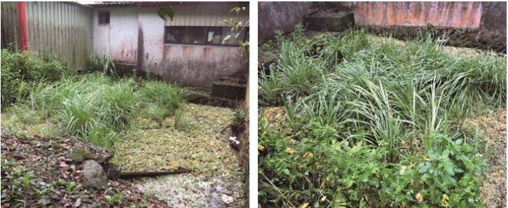 左：蘇西福德廟旁的浴場是在地耆老最鍾愛的紅泉澡池。（陳財發提供） / 右：浴場結構更是當下唯一未受人為破損的傳統樣式。（陳財發提供）