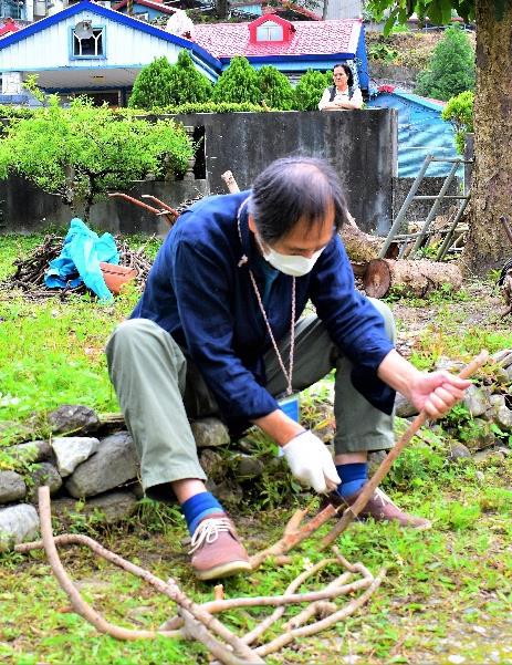 枇杷枝幹可削皮用來染色