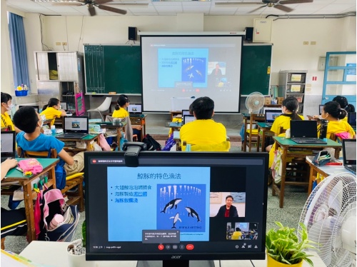 透過影音和照片介紹鯨豚的知識