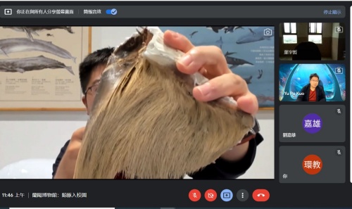 講師展示鯨鬚片標本