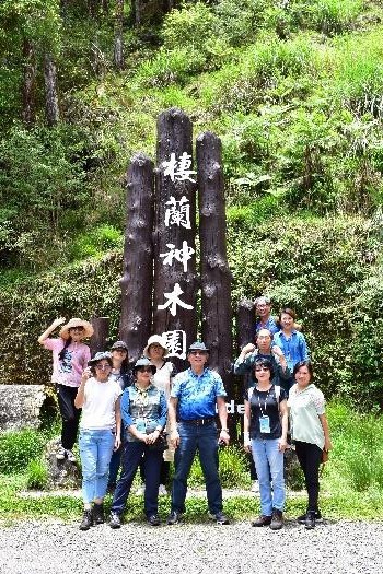 至棲蘭神木園區探查中海拔植物。