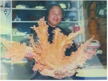 40台斤紅珊瑚-百萬價值