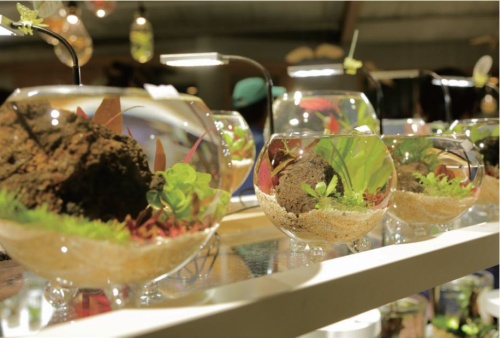 勝洋休閒農場的生態瓶