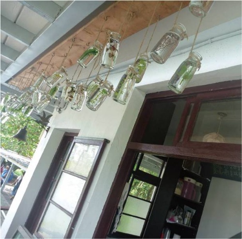 打上瓶口結的生態瓶