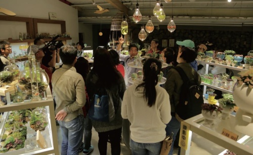 水草相關的文化創意商品