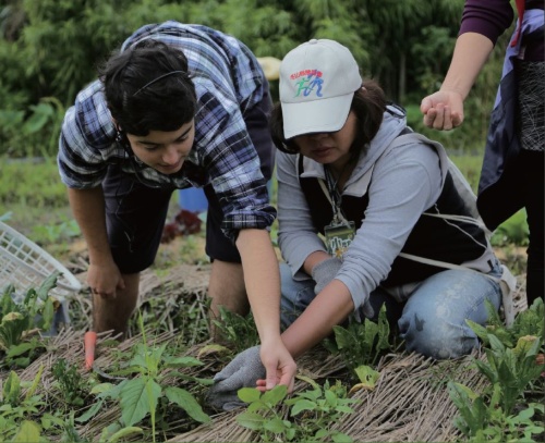 透過在地知識帶來小農的農技藝創新。