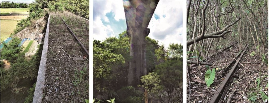 左：天橋上面鐵軌景況。（陳財發提供） / 中：宛如一柱擎天的「照平坑溪」天橋橋墩是水泥業鐵道獨特景點。（陳財發提供） / 右：鐵道路徑已成為銀合歡蔓生的荒蕪之地。（陳財發提供）