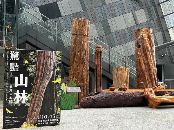「驚豔山林-臺灣巨木展」的地方意義