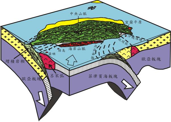 台灣位於歐亞板塊和菲律賓海板塊的交界帶上(圖片來源：台大地質系https://homepage.ntu.edu.tw/~tengls/geo-info_earthquake.htm)