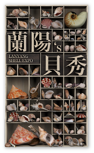 何為貝之道(一)